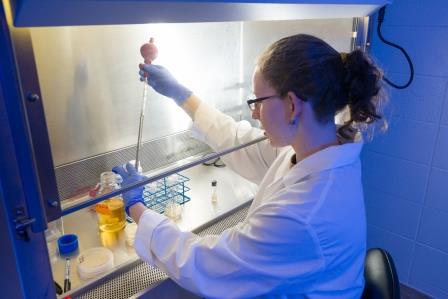Assistant Professor, Tiffany Weir works in BioMARC's Biocontainment lab, studying digestive fermentation